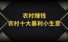 利用篮球传奇的训练心得提高比赛表现_0